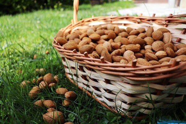 Almonds without shells